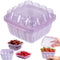 Berry Basket, 3-in-1 Berry Keeper Box, 1 Quart Vented Plastic Berry Containers