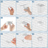 Jinei 12 Pcs Pegboard Bins - Pegboard Cups with Hooks and Loops Peg Assortment Organizer Accessories Various Tool