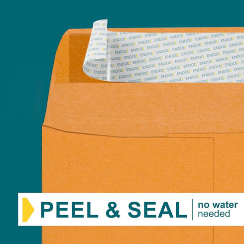 Money Envelopes for Cash - 500 Pack - Brown Self Seal Envelopes - Peel & Seal Coin Envelopes for Money, Credit Cards,