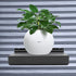 4x10 Inch Slatwall Shelves Set of 10, Metal Accessories for Slat Wall, Black Flat Display Shelves for Storage