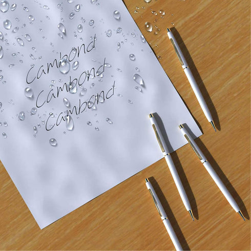 Cambond Ballpoint Pens, White Pens, Black Ink Bulk Pens, 1.0 mm Medium Point, Comfortable Writing for Men Women, 10