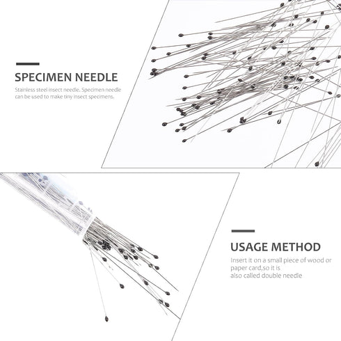 Tools Stainless Steel | Sizes 00, 0 | 100 of Each Size | Sturdy Storage Containers for Entomology, Dissection