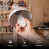 Feit Electric A19 LED Light Bulbs, 60W Equivalent, Dimmable, 800 Lumens, 5000K Daylight, 8 Pack
