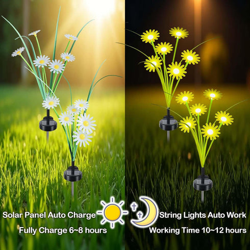 L LAMPOP (2-Pack, 12 Solar Outdoor Lights LEDs), Solar Garden Lighting, Outdoor Decorations, Daisy Light for Backyard
