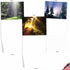 The Best Card Company - 20 Blank Landscape Nature Note Cards (4 x 5.12 Inch) - 10 Designs, 2 Each - Shining Through