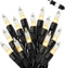 Filltown Warm White Christmas Lights Outdoor, 25FT 100 Count Incandescent Mini Christmas Lights
