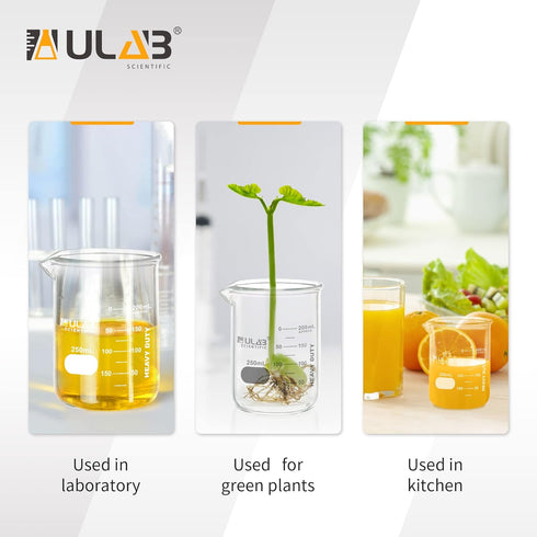 ULAB Heavy Duty Glass Beakers, 6 pcs of 250ml, Borosilicate 3.3 Glass, Thick Wall with Double Scale