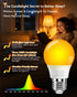 Neporal 1800K Bulbs, 99.96% A15 6W(40 Bulbs, E26 2 Packs Amber Sleep Light Blue Light Blocking, Watt Equivalent) Soft