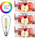 Gozelux Bulbs, 60W ST19, 6W E26 Bulbs, 750 5000K Pack 4 LED Edison Equivalent Efficient LED, Medium Base Light High