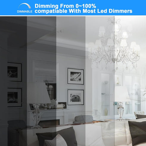 E12 Bulb 100W Dimmable, 6000K, 10W 1000 T6 E12 Bulbs 6 Pack TAIYALOO LED Candelabra Equivalent, Daylight White Lumens
