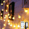 Globe String Lights 43 Ft 100 LED Fairy Lights Plug in with