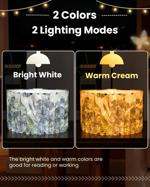 Book Shaped Light, Mothers Day Gifts BookLamp for Book Lovers Gifts,Van Gogh Iris Design Foldable Lamp Perfect