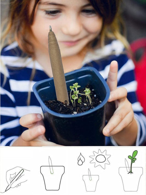 THE CREATOR Plantable Pens, Eco Friendly, Pack of 6, RAINBOW Theme, Reduces 6g of Plastic Waste