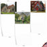 The Best Card Company - 10 Blank Note Cards Boxed (4 x 5.12 Inch) - Assorted Architecture All Occasion Cards