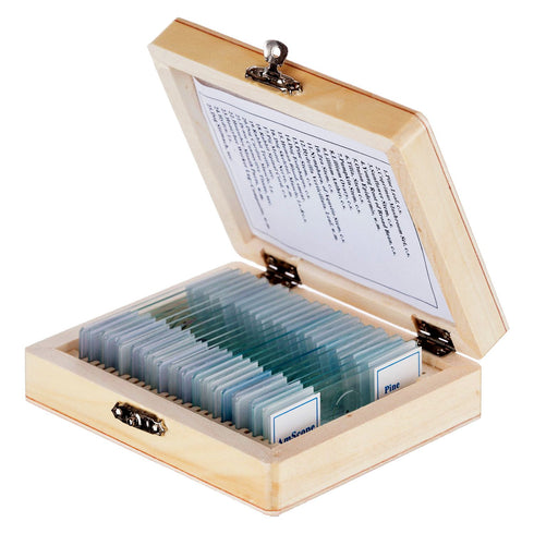 AmScope PS25 Prepared Microscope Slide Set, 25 Slides with Fitted Wooden Case, Brown