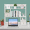 Generic Desktop Bookshelf, Desktop Hutch with 6 Shelves & 2 Drawers, Countertop Storage