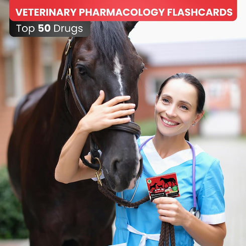 Pharmacology Island 50 Veterinary Pharmacology Flashcards - Top Drugs for Dogs, Cats, and Horses