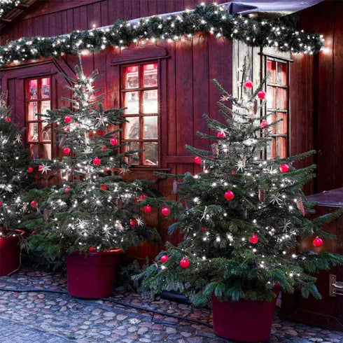 50 Count Wide Angle 5MM Mini LED Christmas Lights, White String Lights for Indoor and Outdoor Decoration