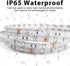 66ft, 5050 IP65 (2 33ft) DAYBETTER Waterproof LED Light Strips Outdoor LED Strip Lights Color Changing RGB LED Strip