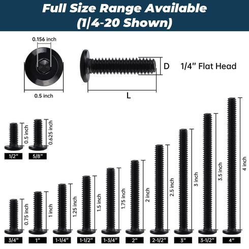Glvaner 1/4-20 3 10 304 18-8, x Furniture Connector Bolts and Barrel Nuts Kit - Pairs, Stainless Steel Black Coated