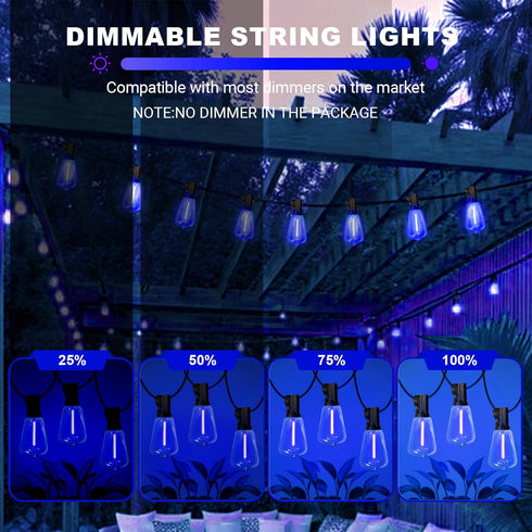 26Ft ST38 12+1 ST38 Bulbs, LAMPHOME Outdoor String Lights, Blue Patio Lights with Edison LED Shatterproof String Lights