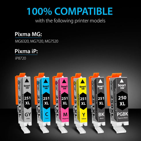 Smart Ink Compatible Ink Cartridge Replacement for Canon PIXMA CLI-251XL PGI-250XL (6 Combo Pack; 1PGBK & 1BK/C/M/Y/GY)