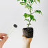 50Pcs jojofuny Transparent Flower Tubes for Fresh Flower Arrangements Hydroponic Nutrient Vials for Roses Carnations