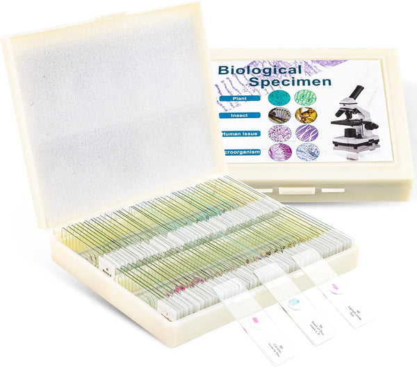 100 Prepared Microscope Slides with Specimens for Kids Adults - Biological Science Lab Samples for School Students