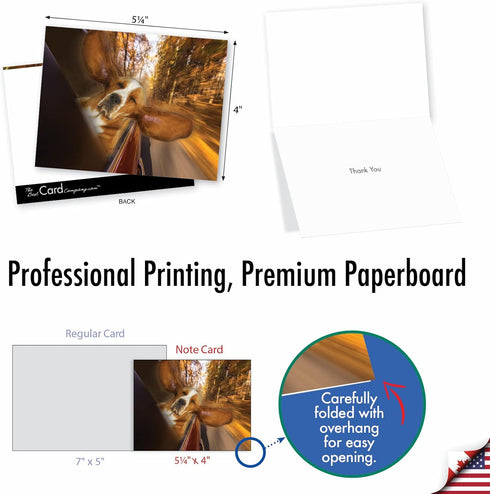 The Best Card Company 10 Assorted Thank You Notes Boxed Set - 4 x 5.12 Inch with Envelopes, Doggie in the Window