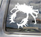 Right Now Decals Spiny King Crab - Crabbing - Cars Trucks Moped Helmet Hard Hat
