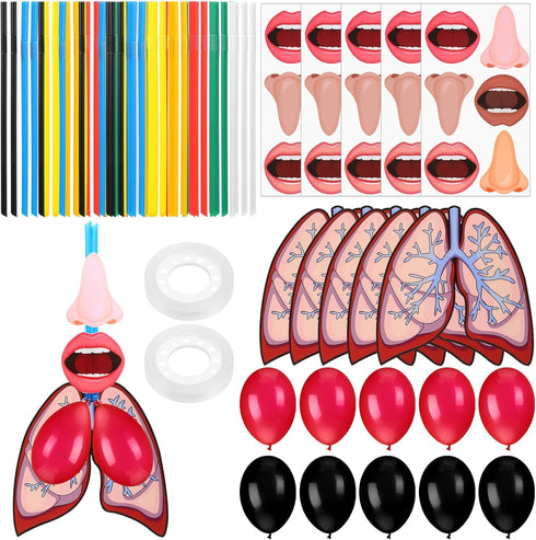 Libima 24 Sets Lung Model Respiratory System Model Toys Science Classroom Study Display