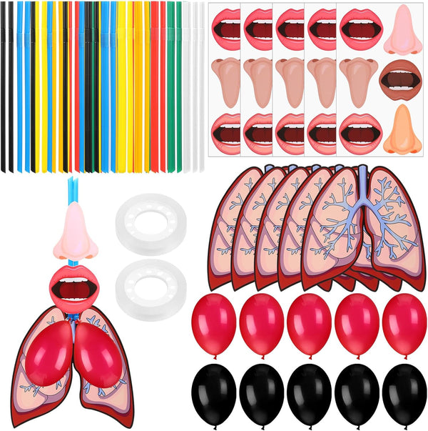 Libima 24 Sets Lung Model Respiratory System Model Toys Science Classroom Study Display