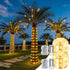SFNDOU 2 Pack Battery Powered String Lights Waterproof with Remote Total 66ft 200LED