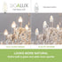 E12 Bulbs 60 B10 Dimmable Bulbs, 5W Bulb, 2700K 450LM Bulbs Fan,6 Pack Sigalux LED Watt, Chandelier Light Clear LED