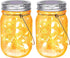 SteadyDoggie Solar Mason Jar Lights - Set of 2 Magical Patio Lights