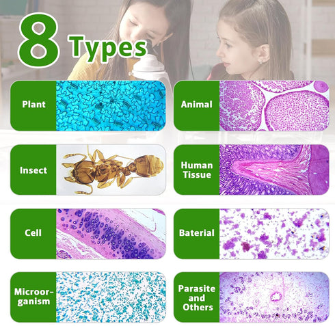 PALOBIL 60 Microscope Slides with Specimens,Prepared Microscope Slides for Kids,Glass Slides for Microscope,Prepared