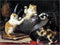 FlekmanArt Kittens at Play by Charles Van den Eycken Accent Tile Mural Kitchen