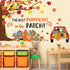 Pasimy 86 Pcs Fall Bulletin Board Decorations - Thanksgiving Classroom Cardboard Cutouts for Autumn Decor