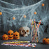 CCINEE 48 Pack Halloween Pencils for Kids, Assorted Design Bulk Pencils with Erasers for Halloween Party Supplies