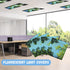 4 2 x Fluorescent Light Covers, Assist Alleviate Eye Strain Office Light Covers for Classroom Office Library Hospital