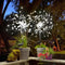 Anordsem Solar Garden Lights Outdoor: Bendable Copper Wire with 120 LED Firework