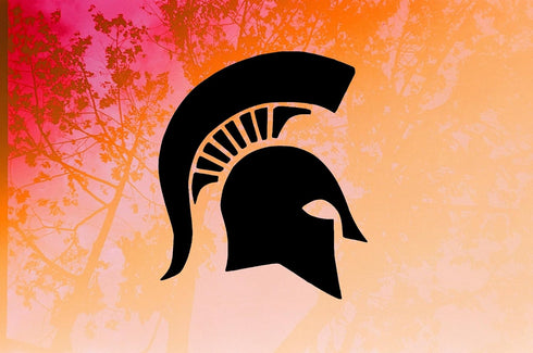 Spartan Helmet Stencil State Inspired, 11" x 8.5", Perfect for Art, Crafts & DIY Projects