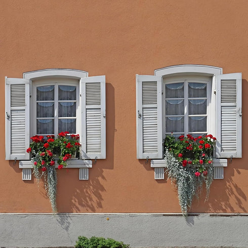 8 Pack 6.3 Inches Rainmae S Style Shutter Dogs Hardware, Decorative Shutter Dog Holders with Screws, External Shutters