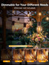 50FT G40 Bulbs, 2700K (25 Bulbs 2 Outdoor String Lights - Shatterproof LED Waterproof Connectable Patio String Lights
