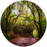 tickit Forest Discovery Play Mat - Semi-Translucent, Woodland Landscape - For All