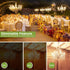 E12 Bulb 60 2700K E12 Bulb Dimmable, CA10 Bulbs 450LM, 5W, 6 Pack Sigalux Candelabra watt Equivalent, Warm White LED