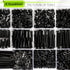 K Kwokker 1480Pcs M3 4mm 35mm M3 Countersunk 3D 4/5/6/8/10/12/16/20/25/30/35mm Flat Head Phillips Machine Screws