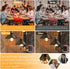 hansang E26 Edison Light Bulbs, Dimmable, 2700K Warm White, Vintage Edison Bulbs, 60 Watt Equivalent, 6W Filament Light