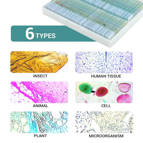 100 Microscope Slides with Specimens for Kids, Prepared Slides with Plants, Animals, Insects for Homeschool Use
