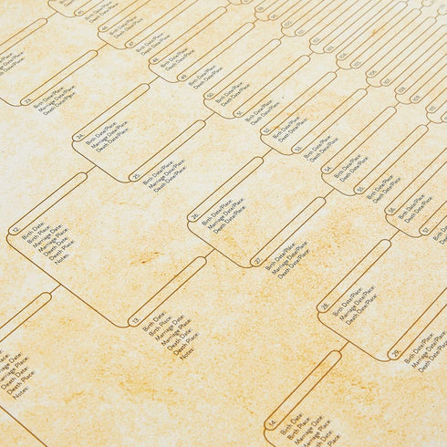 Okuna Outpost 15 Pack Family Tree Charts to Fill In, Off-White Poster Paper, 8 Generation Genealogy Charts